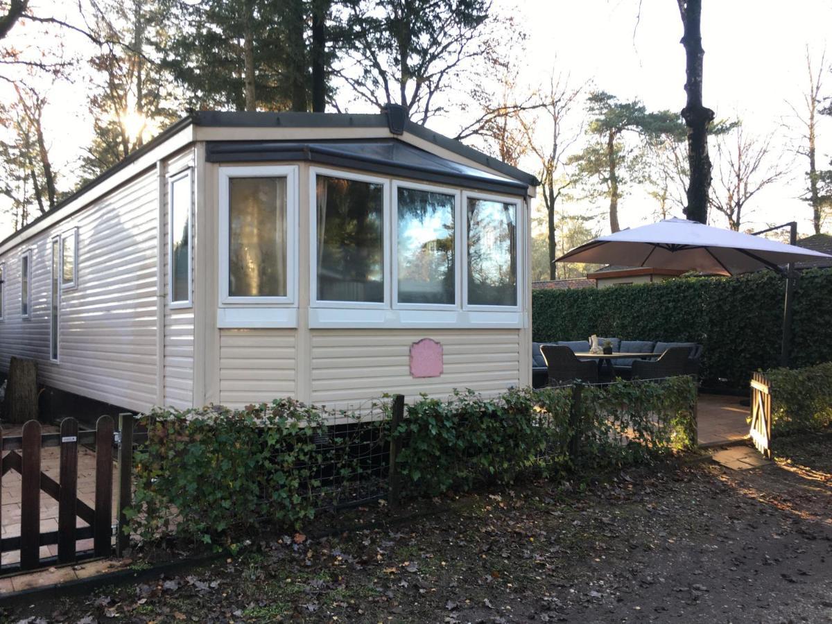 Prachtige Luxe Chalet Op De Veluwe Nabij هونديرلو المظهر الخارجي الصورة